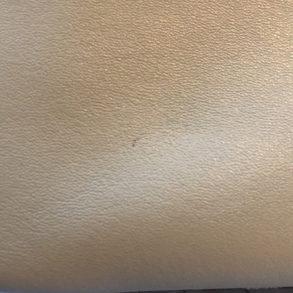 Rachel Pally Clutch - Bloom - Picture 9 of 9